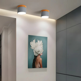 Elegantna vintage LED stropna svetilka za ambientno osvetlitev