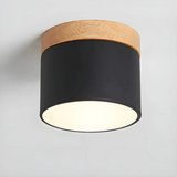 Elegantna vintage LED stropna svetilka za ambientno osvetlitev