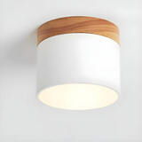 Elegantna vintage LED stropna svetilka za ambientno osvetlitev