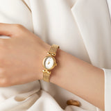 María - Maso Collection