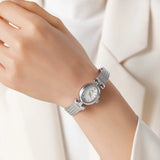 María - Maso Collection