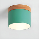 Elegantna vintage LED stropna svetilka za ambientno osvetlitev