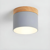 Elegantna vintage LED stropna svetilka za ambientno osvetlitev