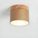 Elegantna vintage LED stropna svetilka za ambientno osvetlitev