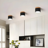 Elegantna vintage LED stropna svetilka za ambientno osvetlitev