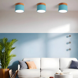 Elegantna vintage LED stropna svetilka za ambientno osvetlitev